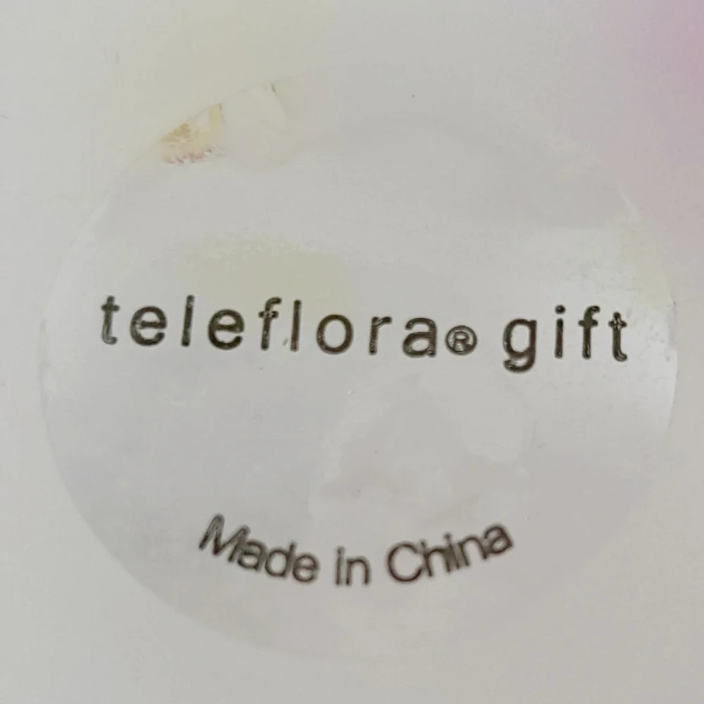 TeleFlora Circle Frosted Glass Vase Bowl w/‎ Multi-Color Hand Painted Candles